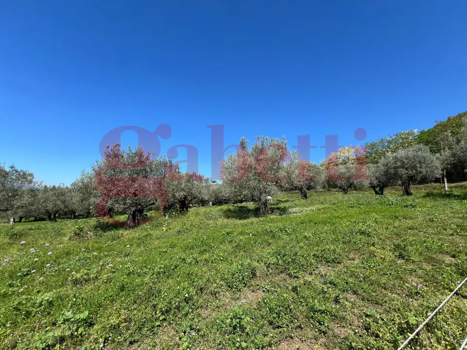 Casa Indipendente - Image 27