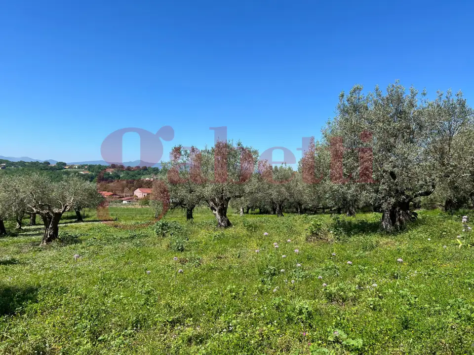 Casa Indipendente - Image 24