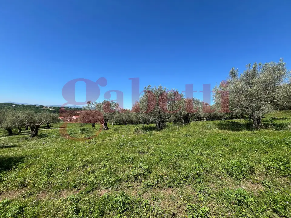 Casa Indipendente - Image 39