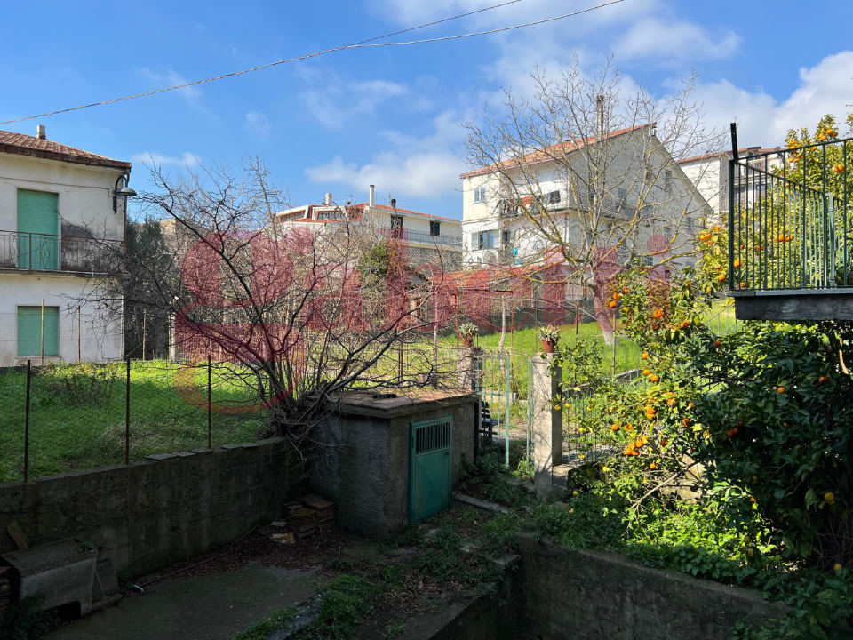 Complesso - Image 36