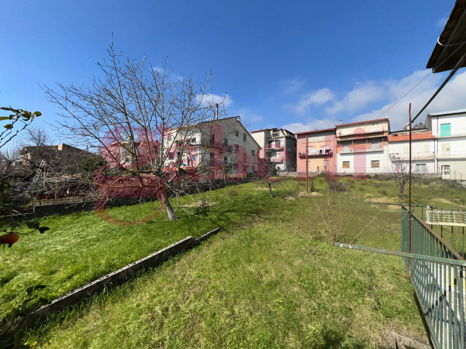 Complesso - Image 38