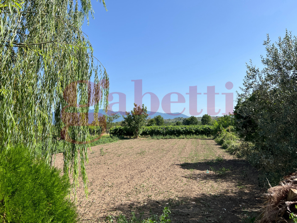 Casa Indipendente - Image 13