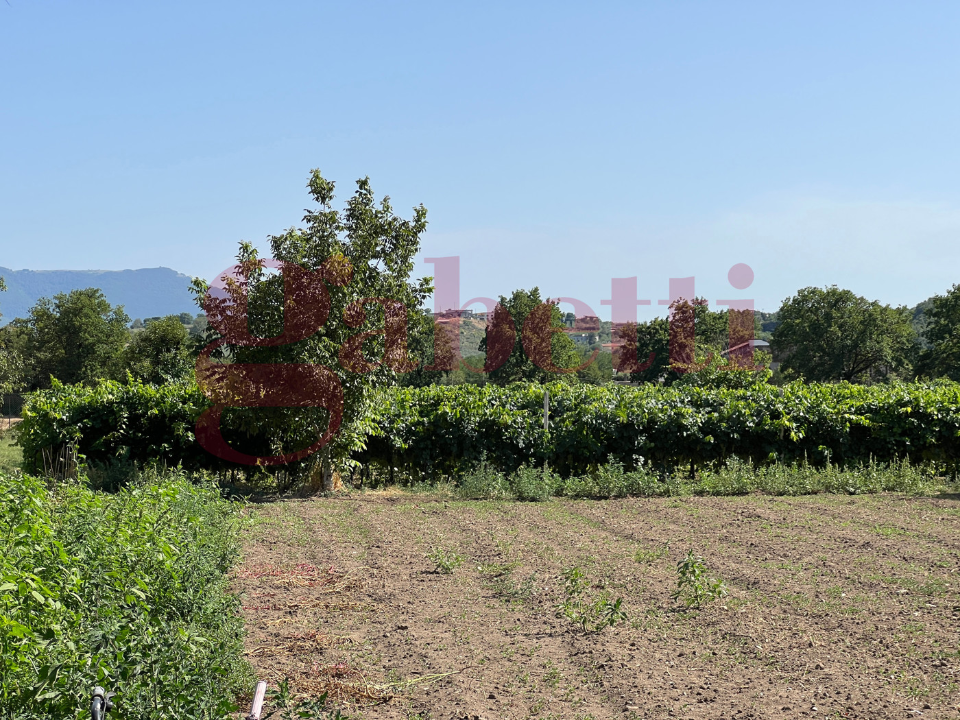 Casa Indipendente - Image 15