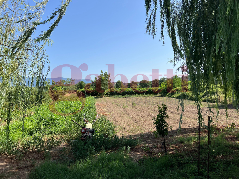 Casa Indipendente - Image 20