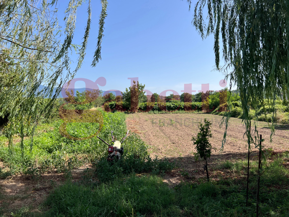 Casa Indipendente - Image 14