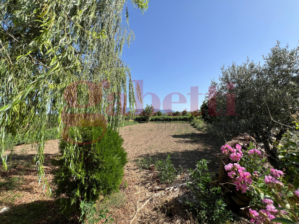 Casa Indipendente - Image 16