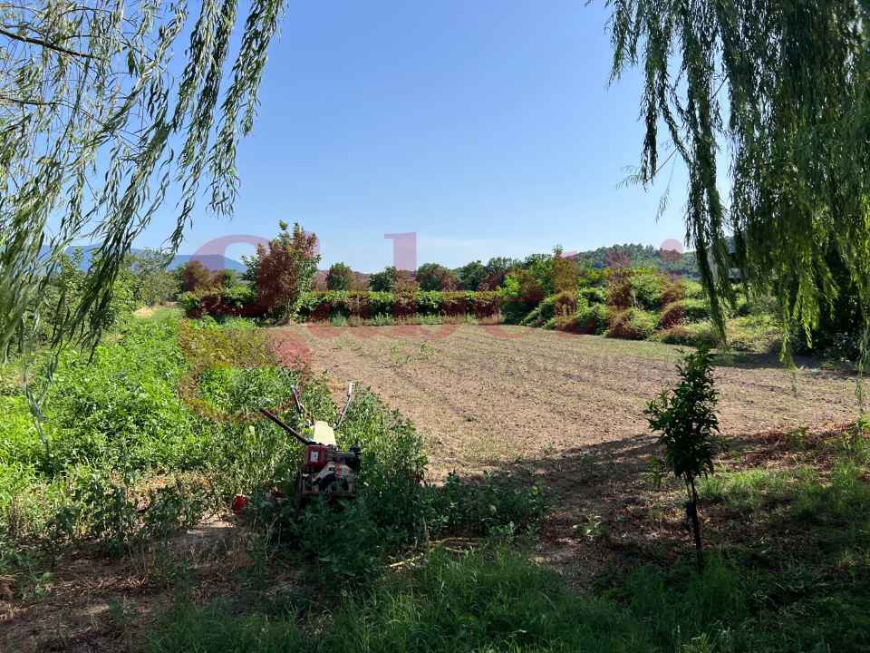 Casa Indipendente - Image 21