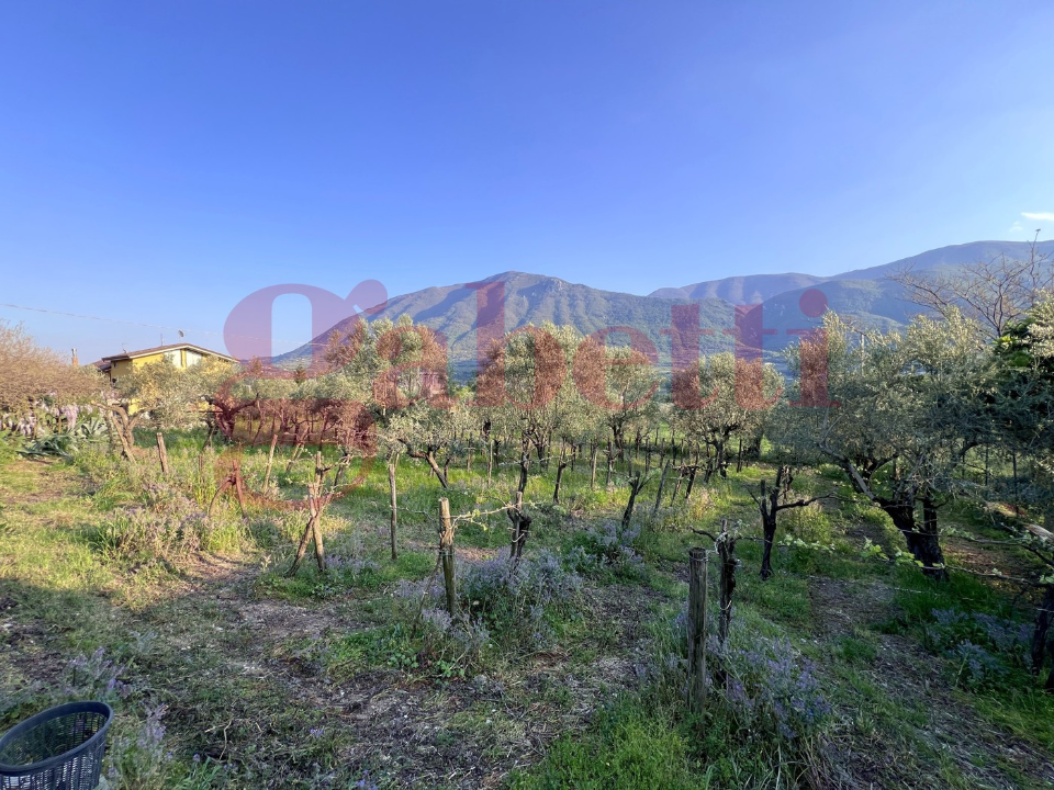 Casa Indipendente - Image 33