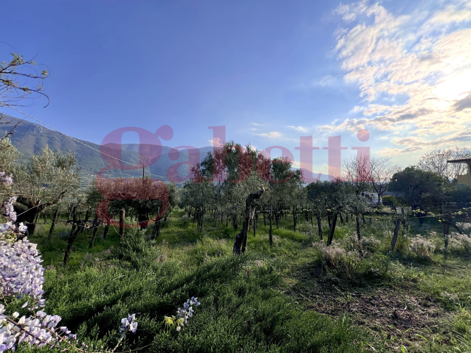 Casa Indipendente - Image 31