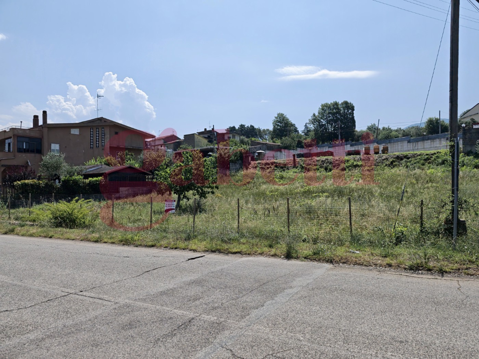 Terreno - Image 8