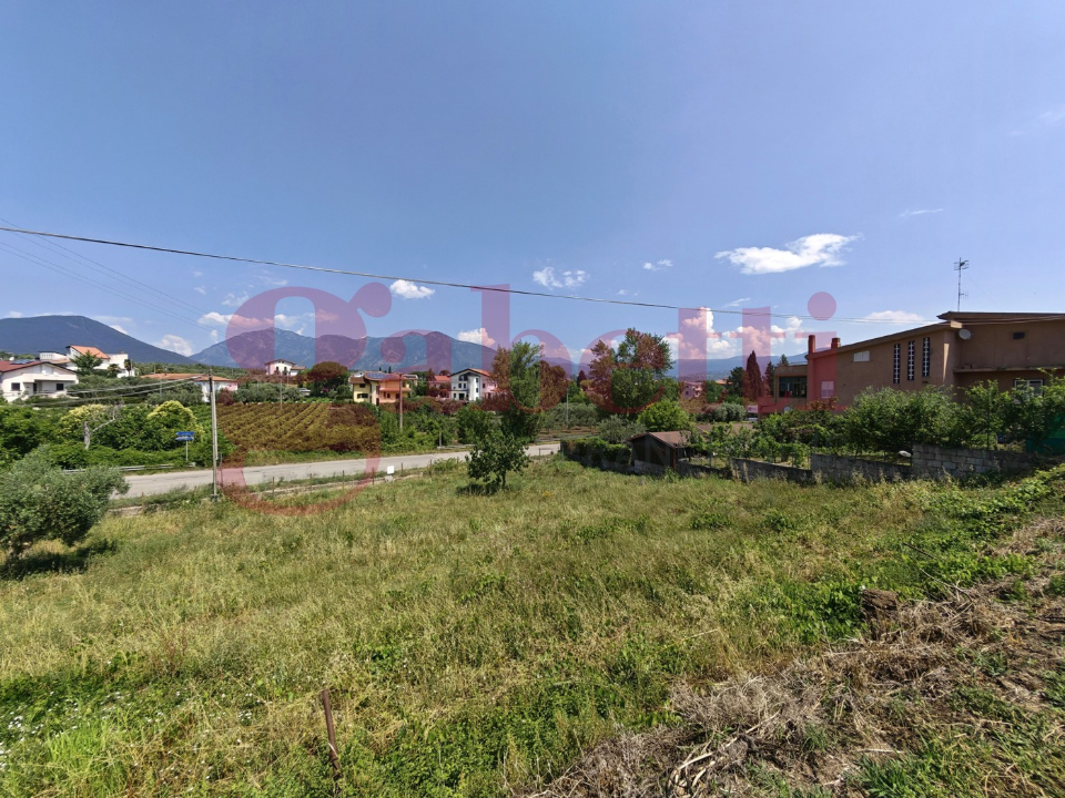Terreno - Image 10