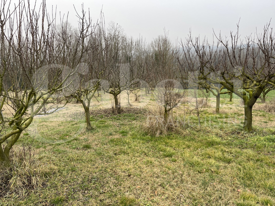 Casa Indipendente - Image 8