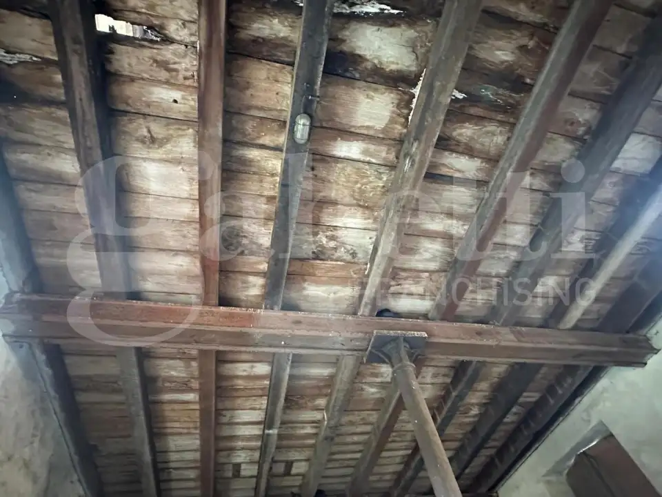 Complesso - Image 16