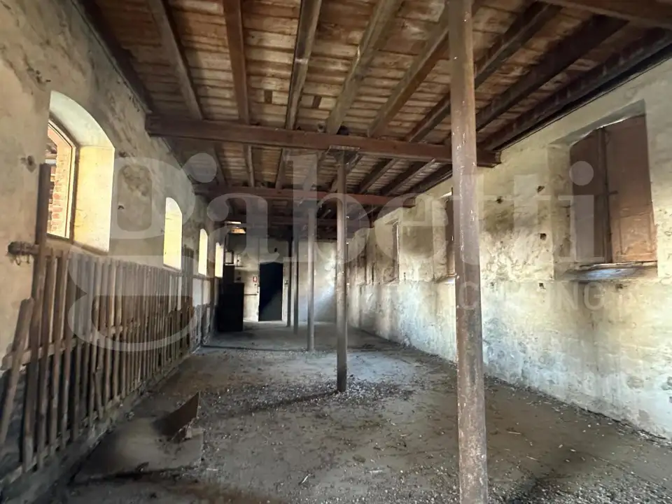 Complesso - Image 17