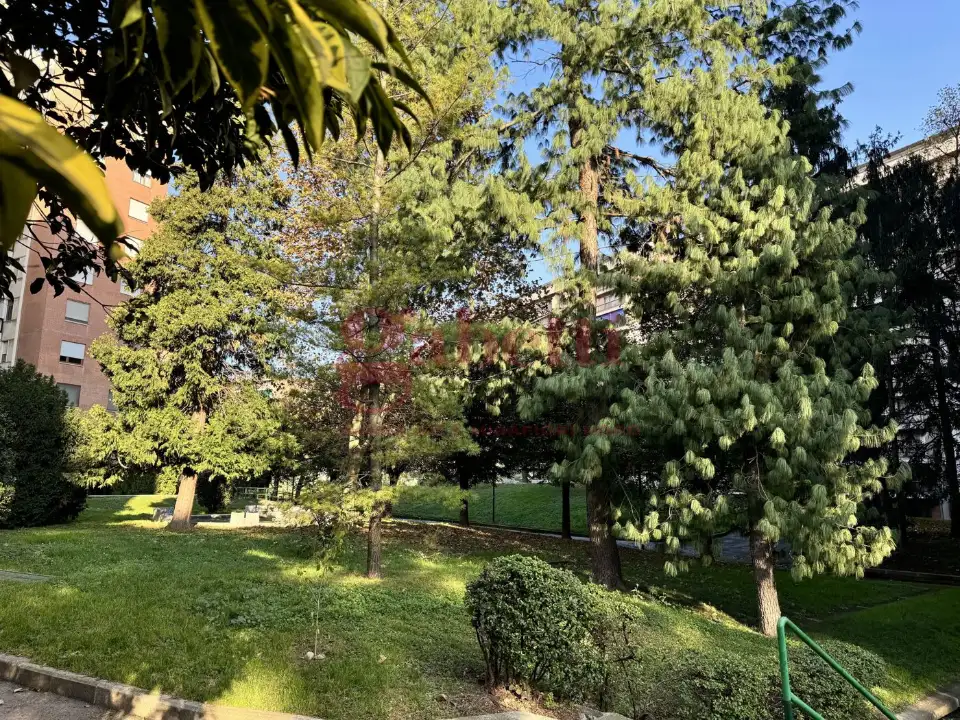 Appartamento - Image 4