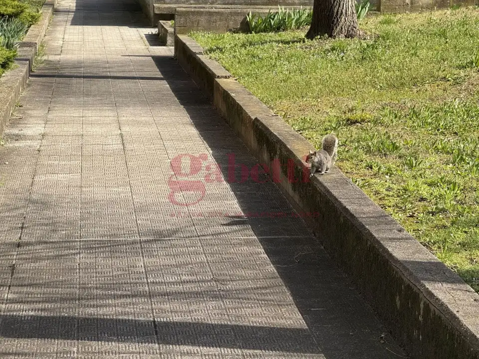 Appartamento - Image 46