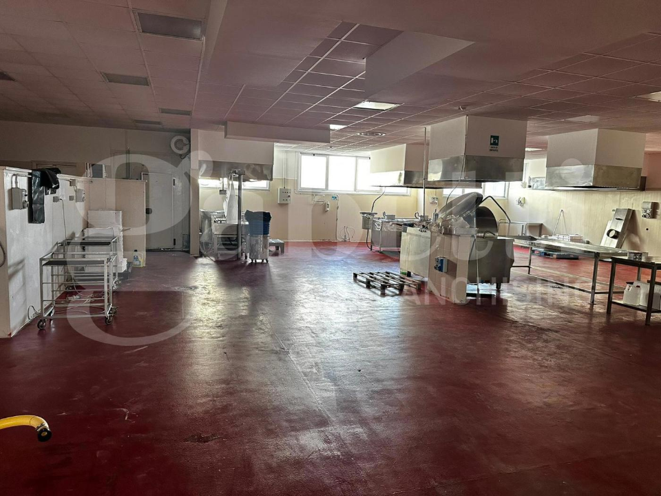 Capannone - Image 23