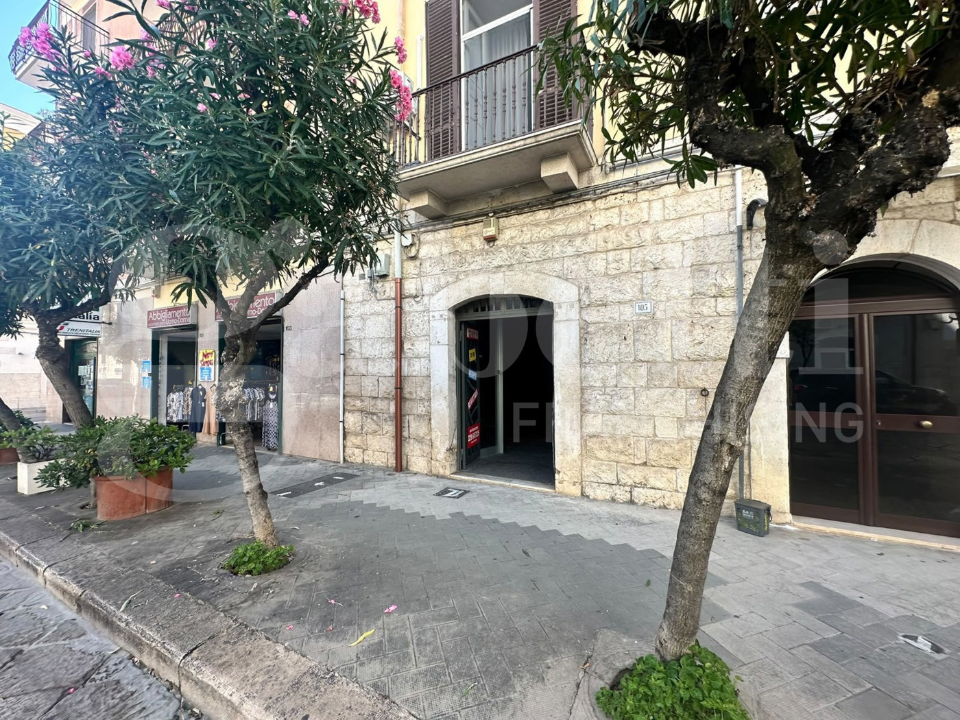 Negozio - Image 3