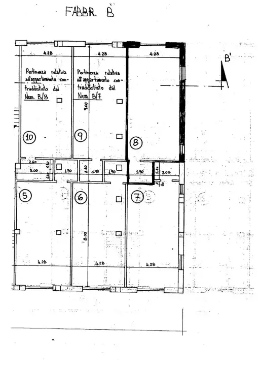 Negozio - Planimetry 1