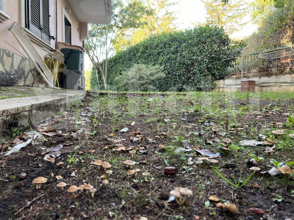 Appartamento - Image 11