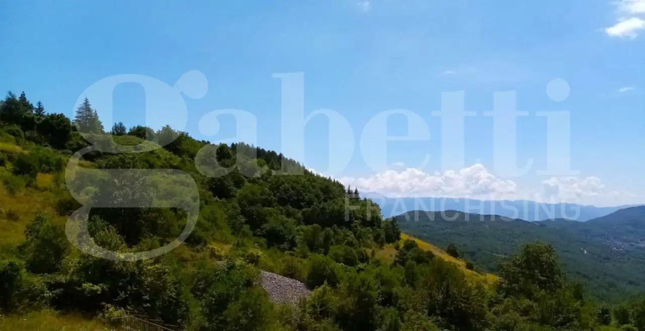 Appartamento - Image 22