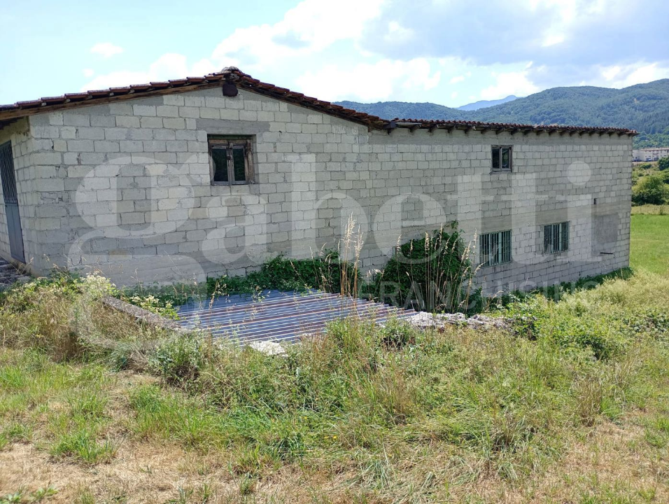 Capannone - Image 6