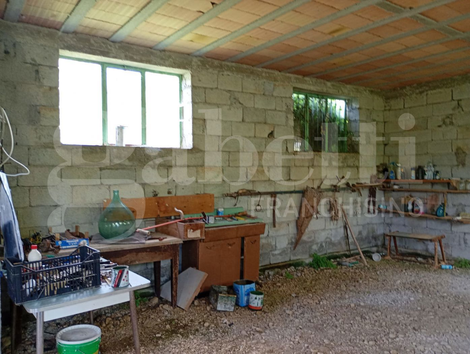 Capannone - Image 13