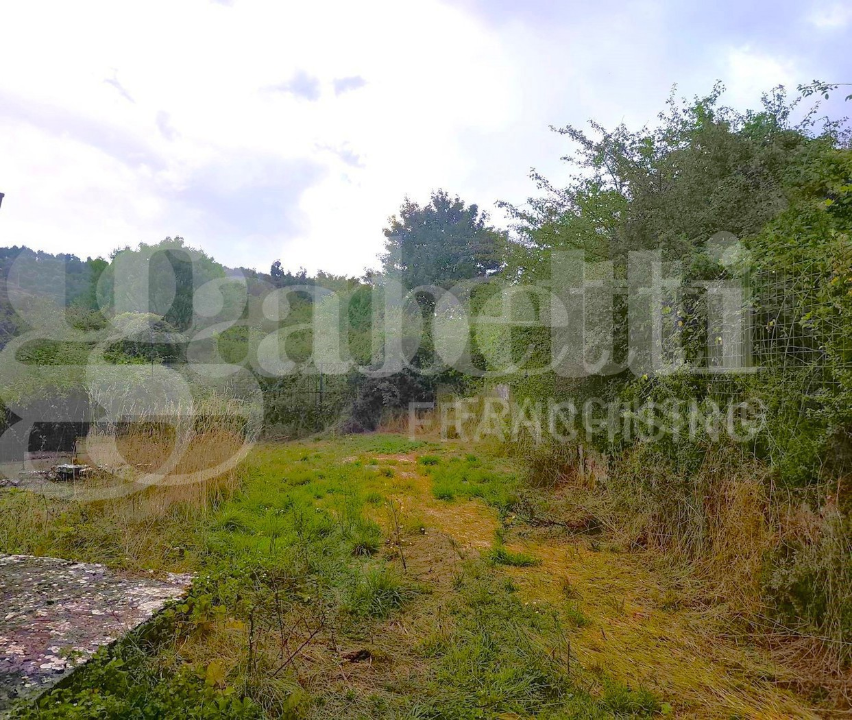 Capannone - Image 8