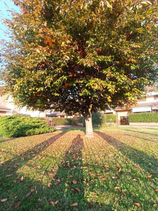 Appartamento - Planimetry 9