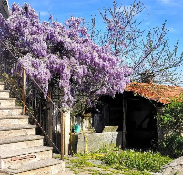 Casa Indipendente - Image 4