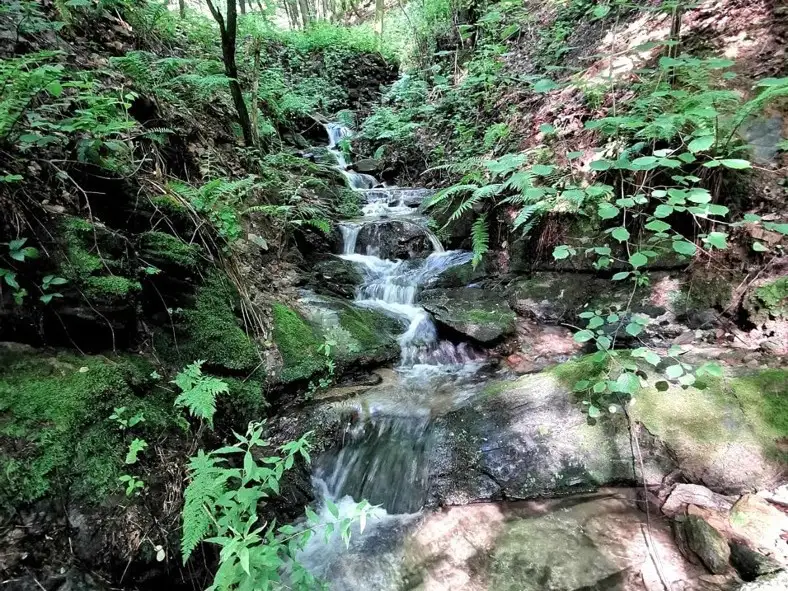 Casa Indipendente - Image 27