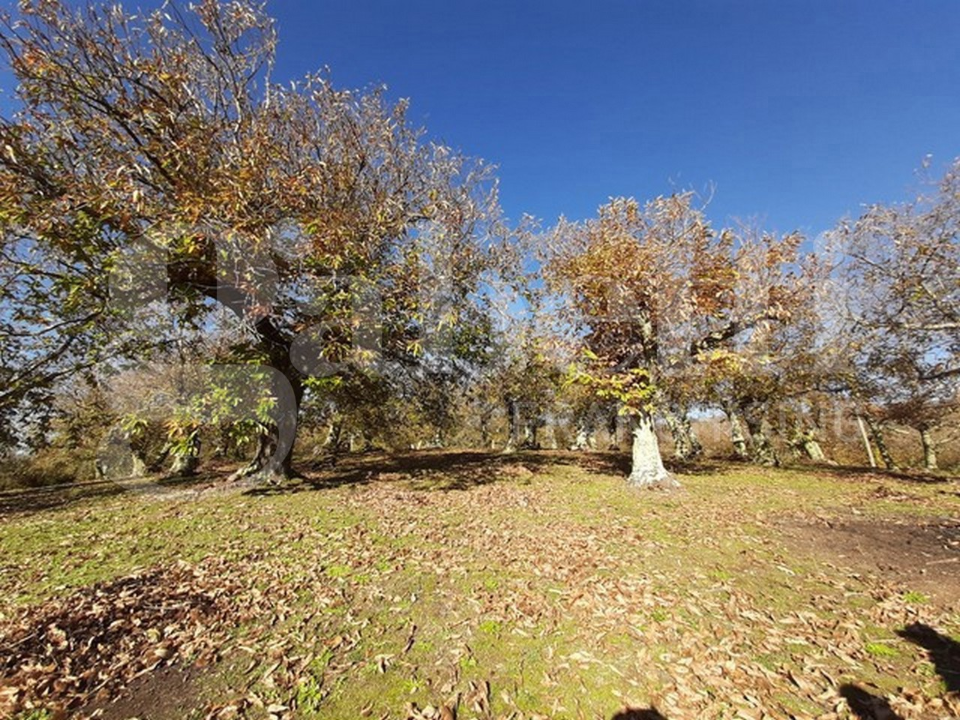 Casa Indipendente - Image 32