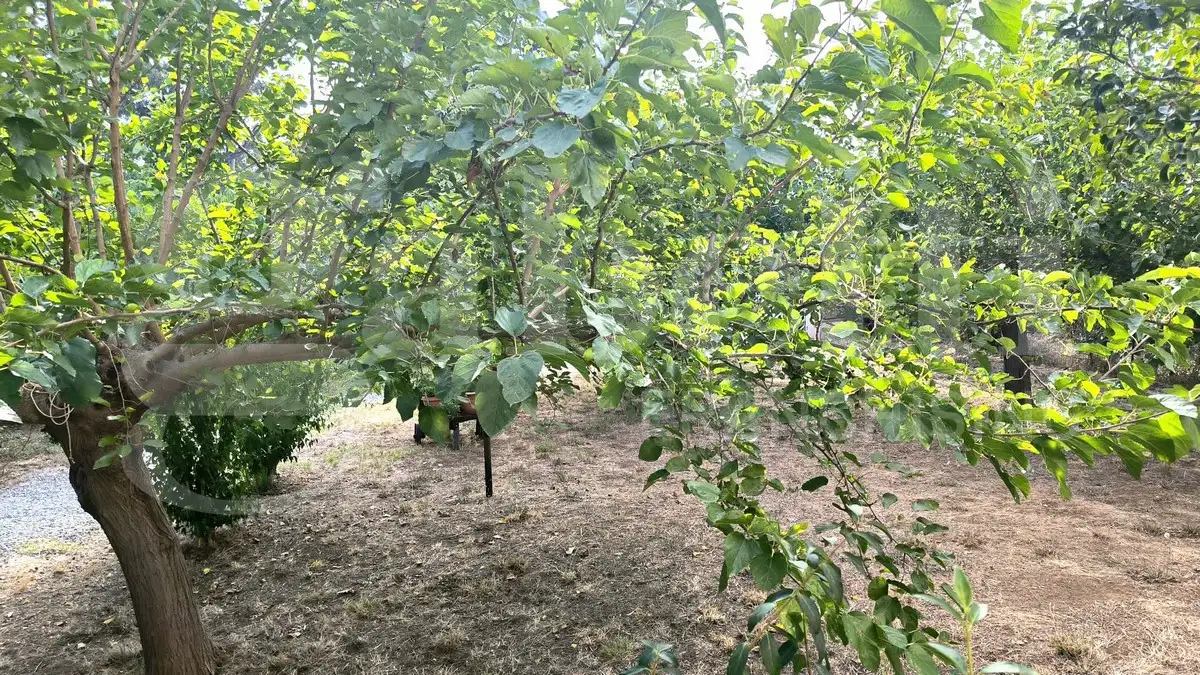 Casa Indipendente - Image 20