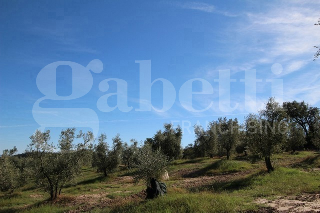 Casa Indipendente - Image 8