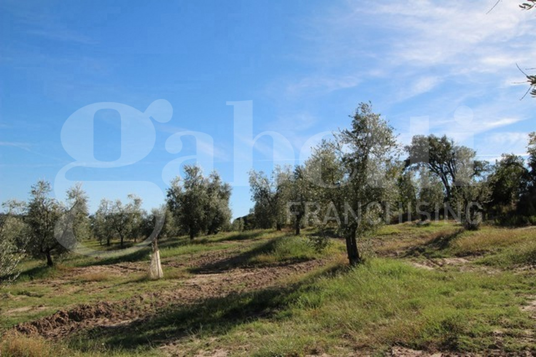 Casa Indipendente - Image 7