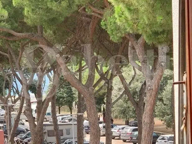 Appartamento - Image 20