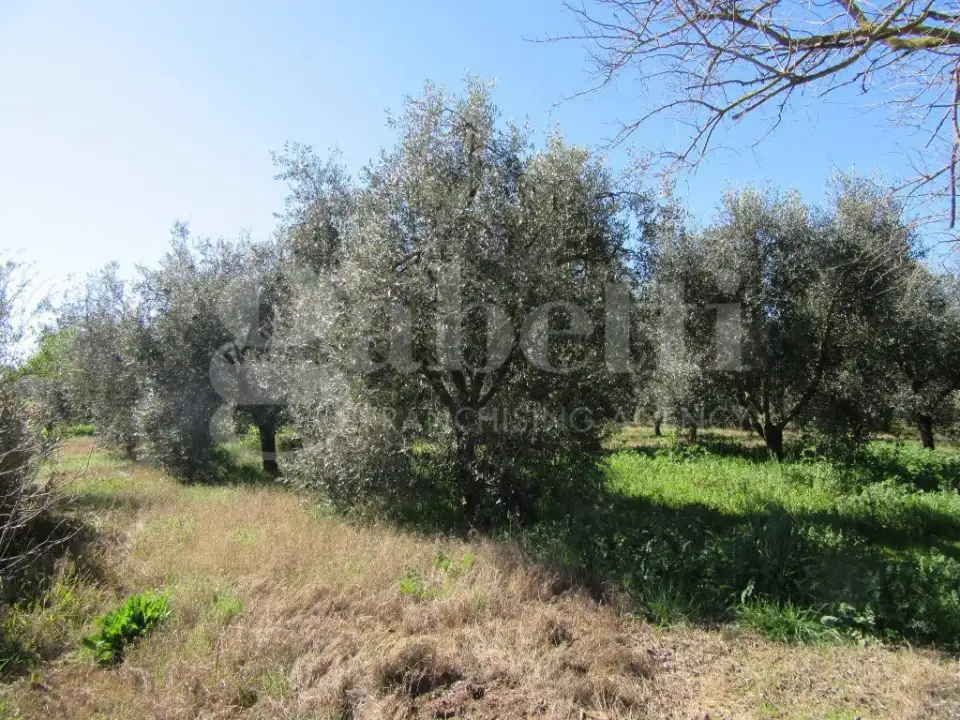 Casa Indipendente - Image 48