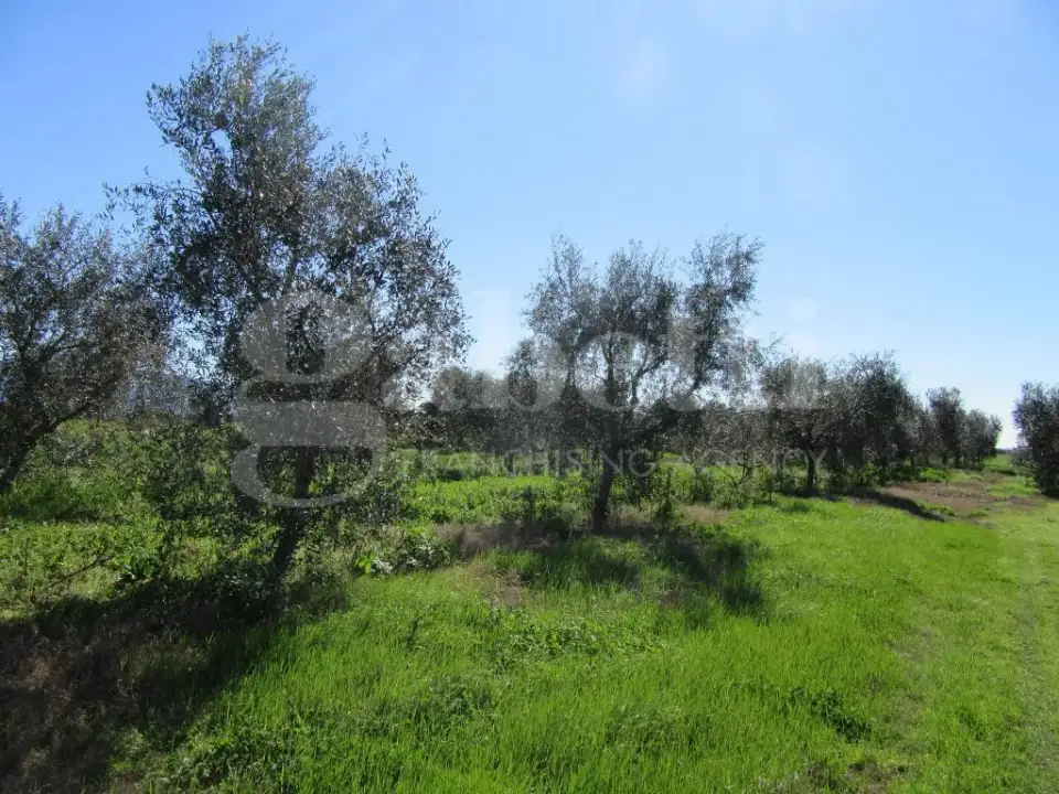 Casa Indipendente - Image 49