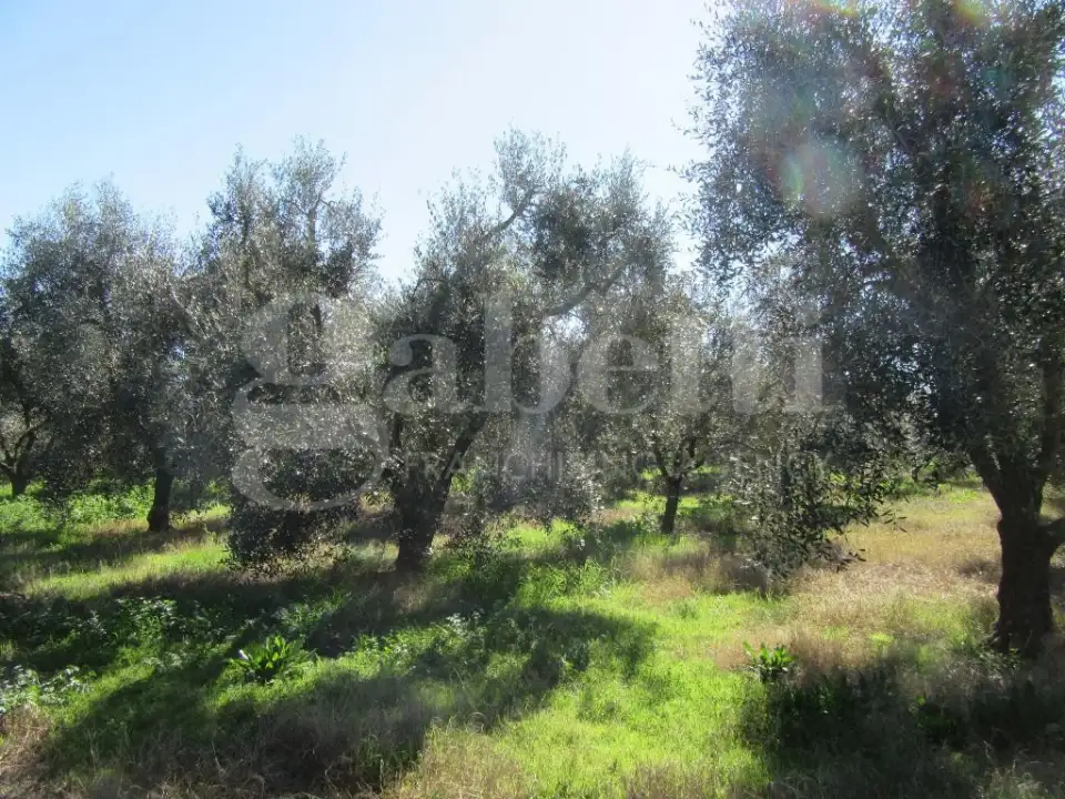 Casa Indipendente - Image 47