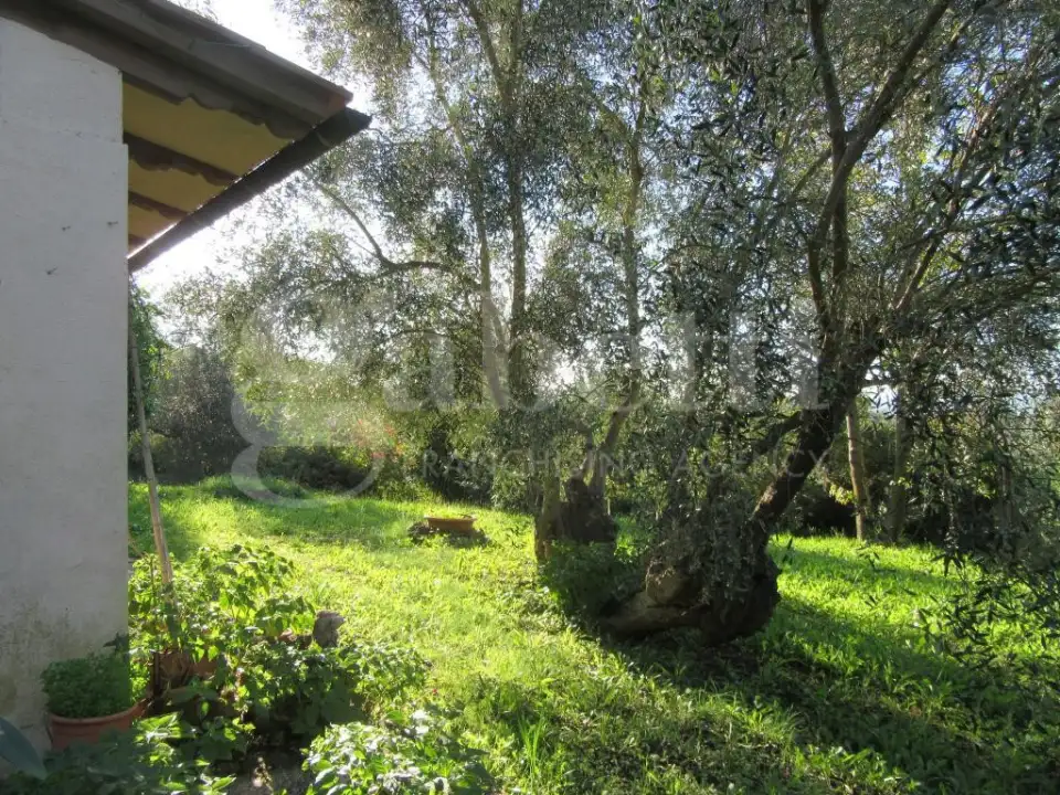 Casa Indipendente - Image 7