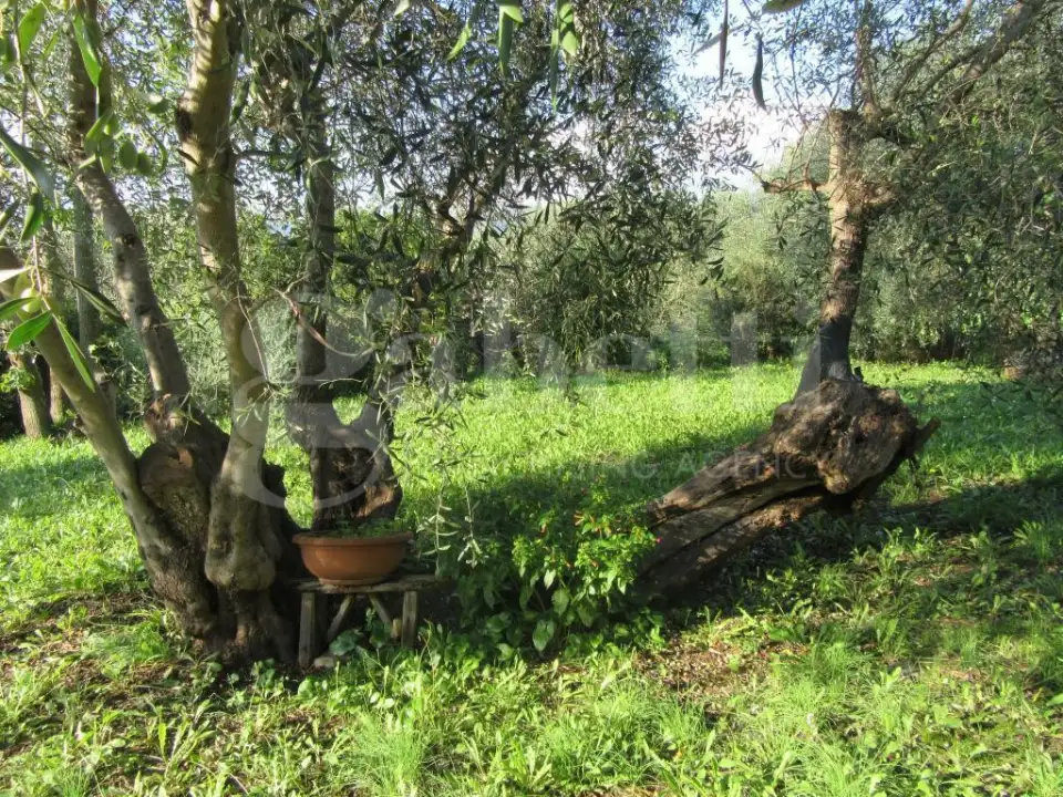 Casa Indipendente - Image 13