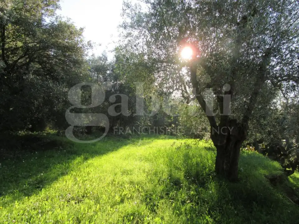 Casa Indipendente - Image 9