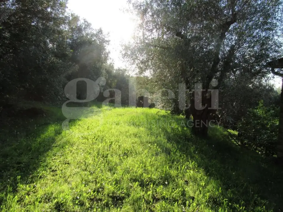 Casa Indipendente - Image 10