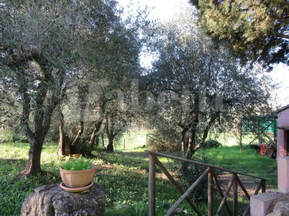 Casa Indipendente - Image 14