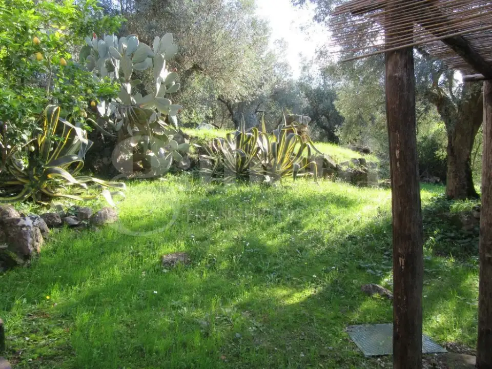 Casa Indipendente - Image 11