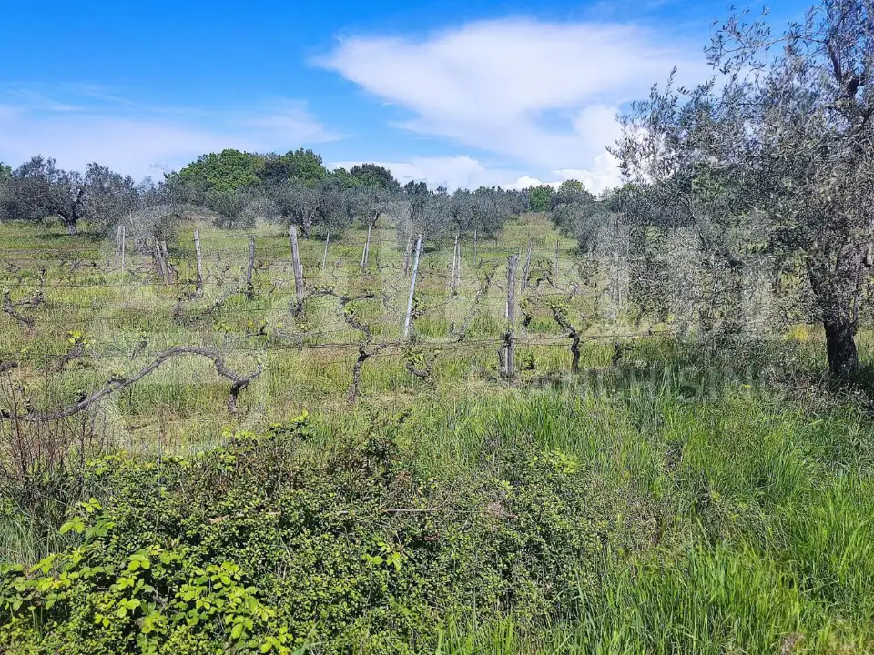 Casa Indipendente - Image 3