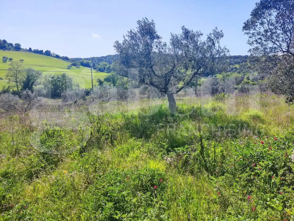 Casa Indipendente - Image 4