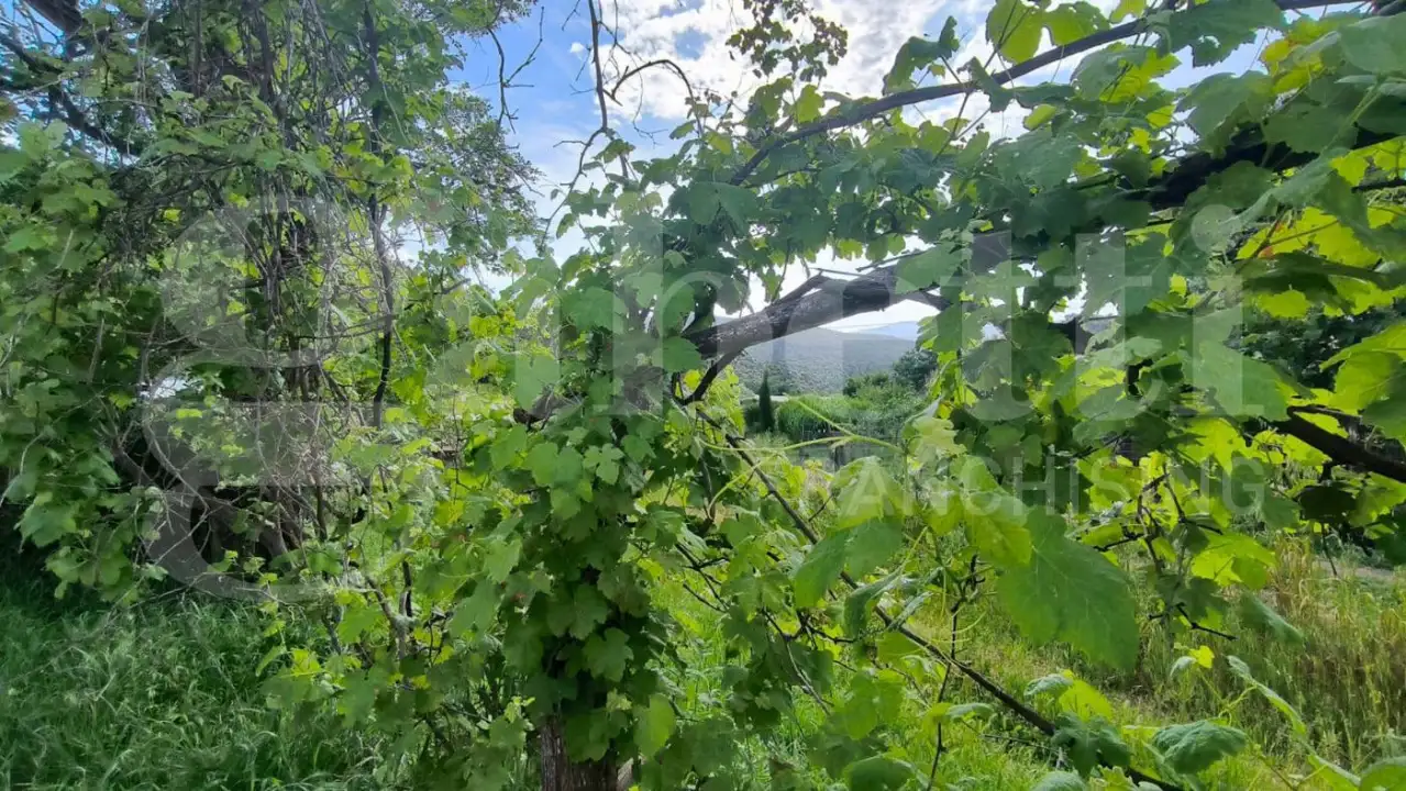 Casa Indipendente - Image 36