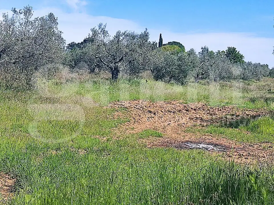 Casa Indipendente - Image 2