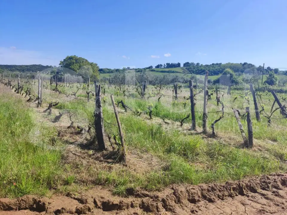 Casa Indipendente - Image 1